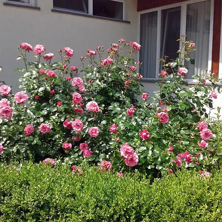 Hotel Nasfa Boutique Verpelet