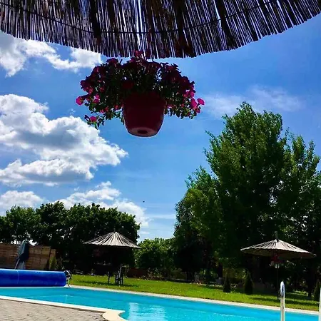 Nasfa Boutique Hotel 3*